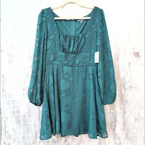 Crystal Doll NWT Babydoll Sheer Paisley Burnout Fit & Flare Dress Women's Large